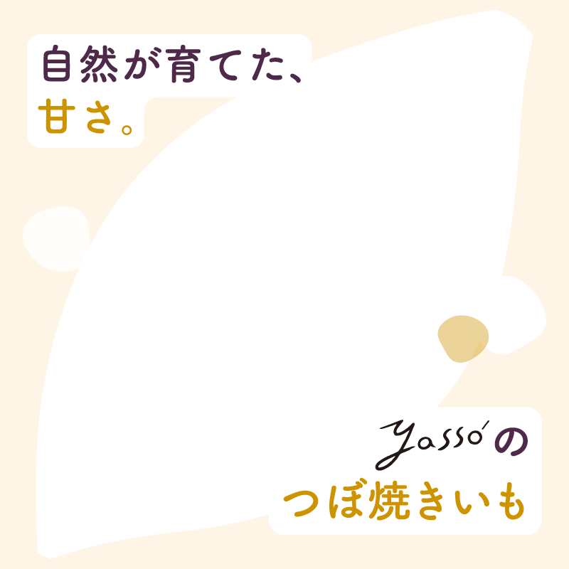 自然が育てた、Yassoのつぼ焼きいも